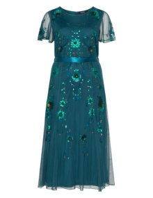 navabi Embellished tulle evening dress  Green