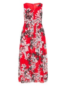 Baylis and May Flower print chiffon maxi dress Red / White